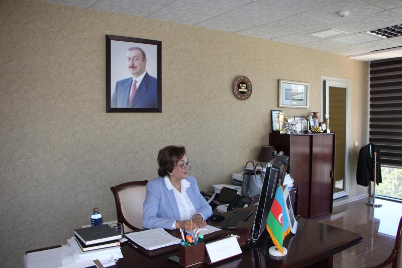 The SEC Chairperson Maleyka Abbaszade has received The Senior Management of the British Council in a video format to discuss Regional Partnership Projects on English Language Assessment