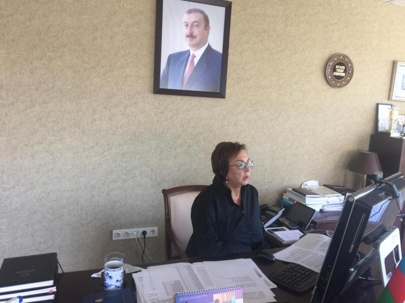 DİM Direktorlar Şurasının sədri Məleykə Abbaszadə növbəti onlayn mətbuat konfransı keçirib